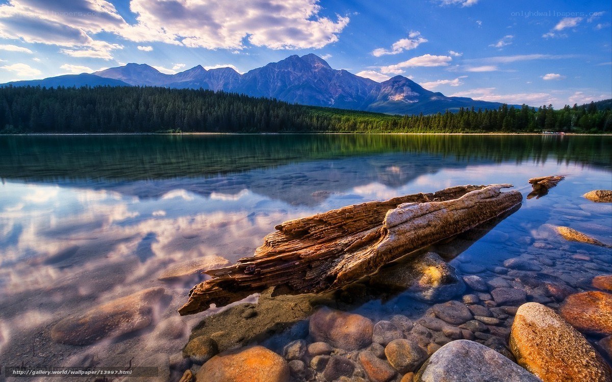 Mountain lake with driftwood