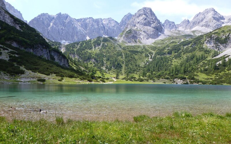 Mountain Lake with Ducks