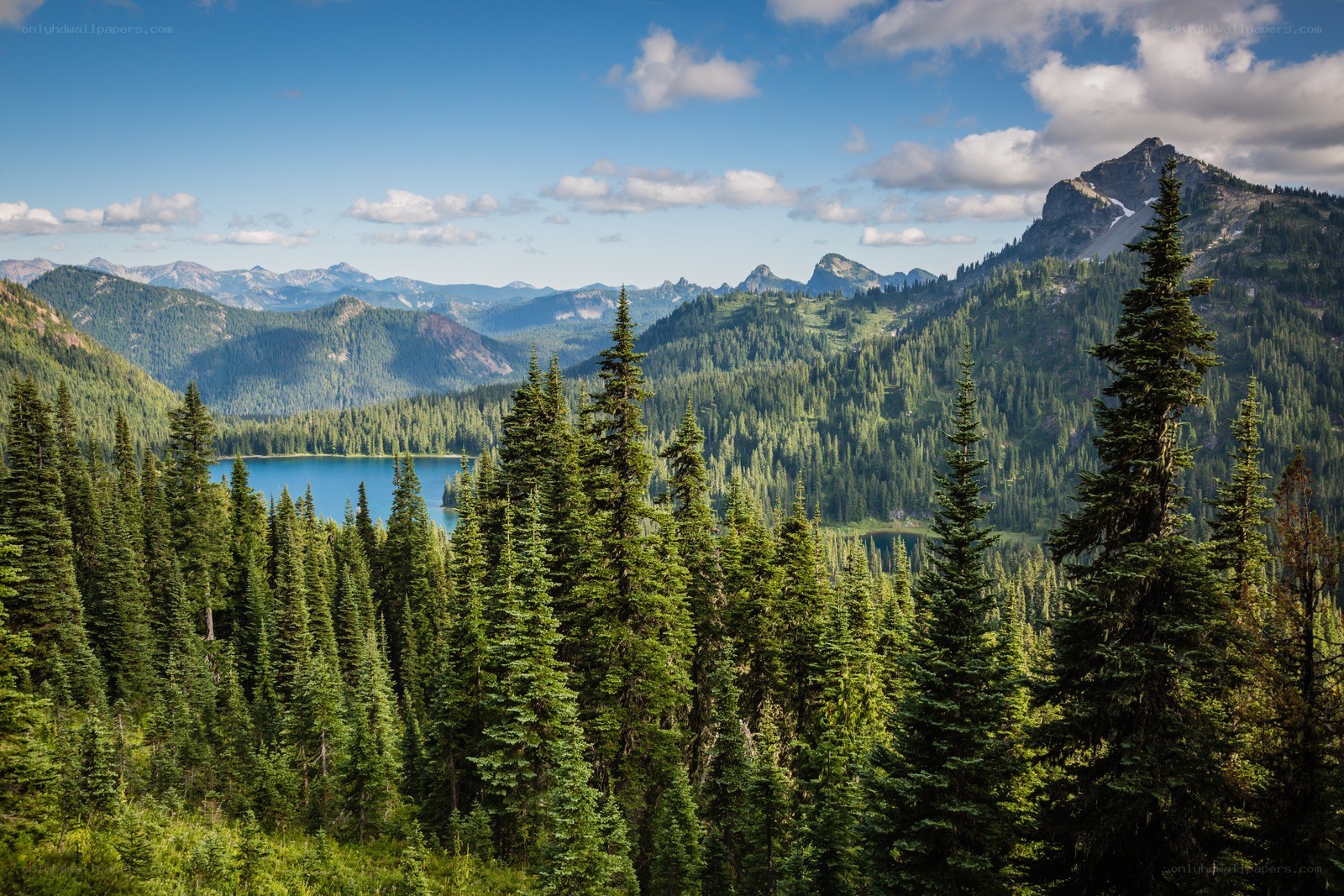 Mountain lake with evergreen forest