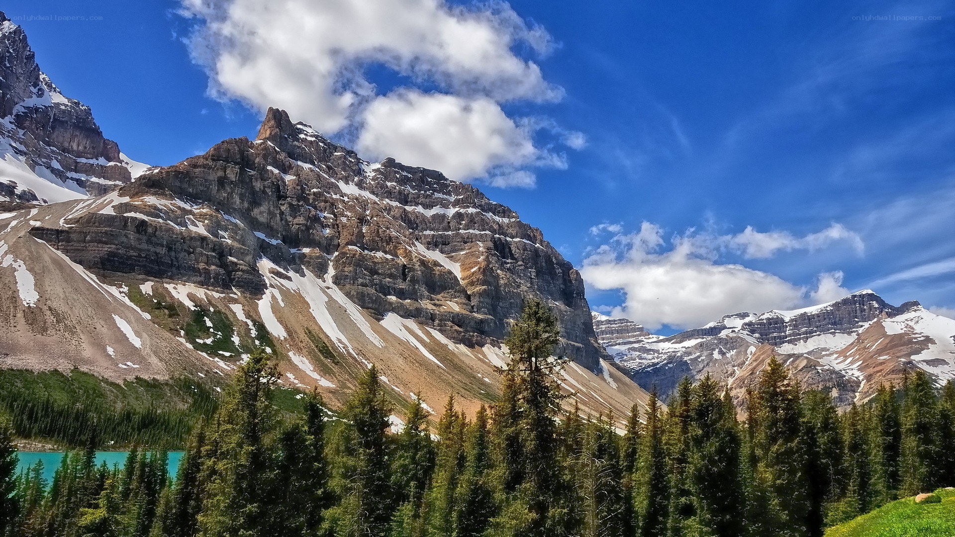 Mountain lake with evergreen forest