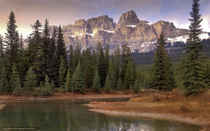 Mountain lake with evergreen forest