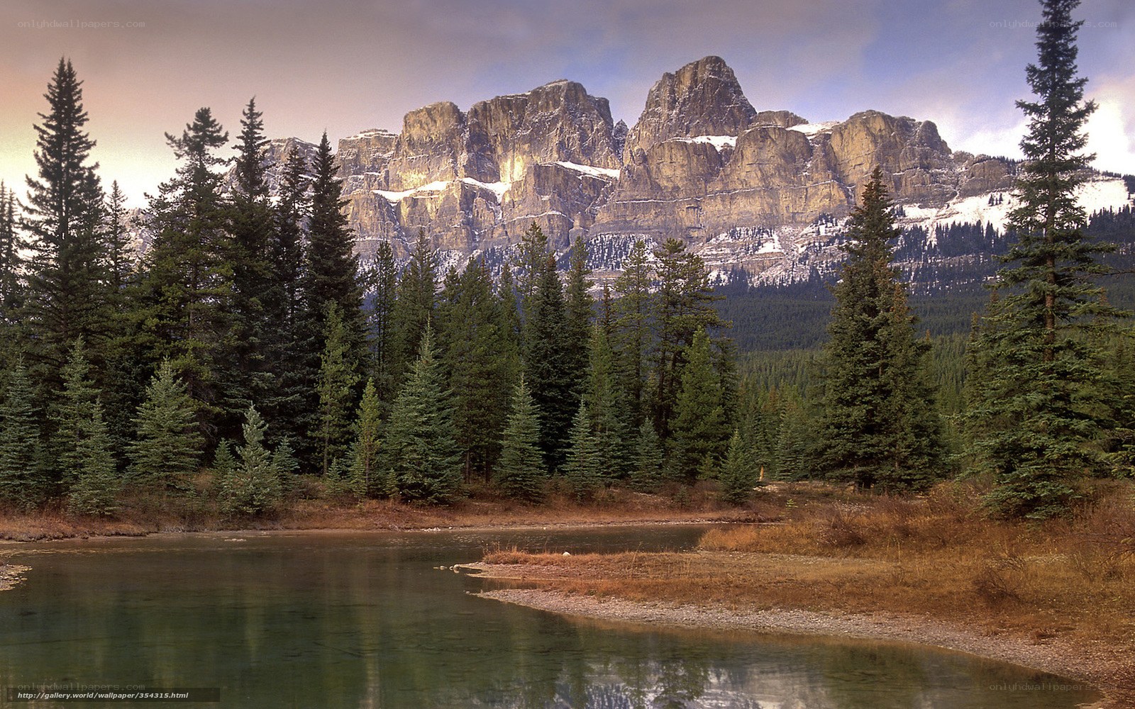 Mountain lake with evergreen forest