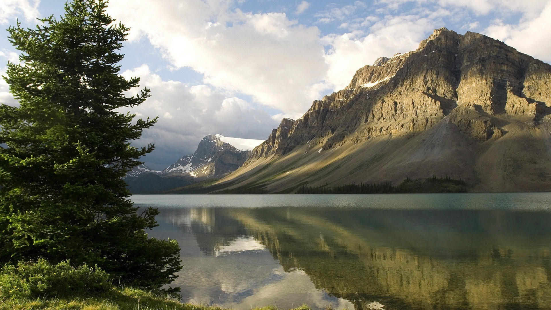 Mountain lake with evergreen tree