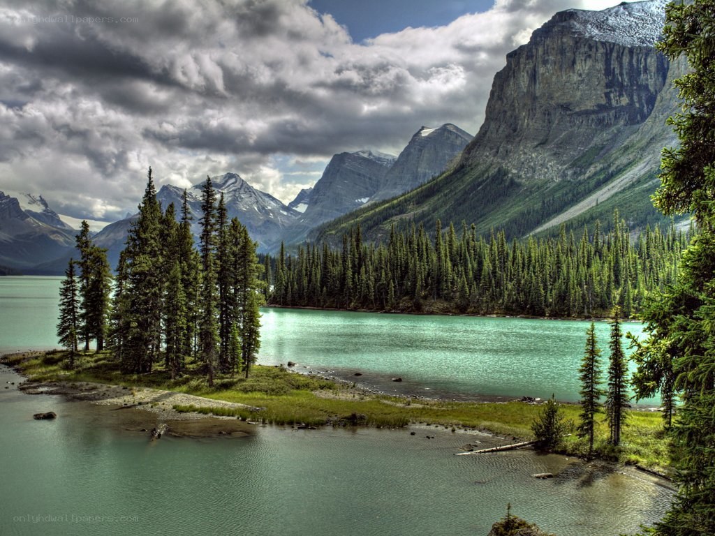Mountain lake with evergreen trees