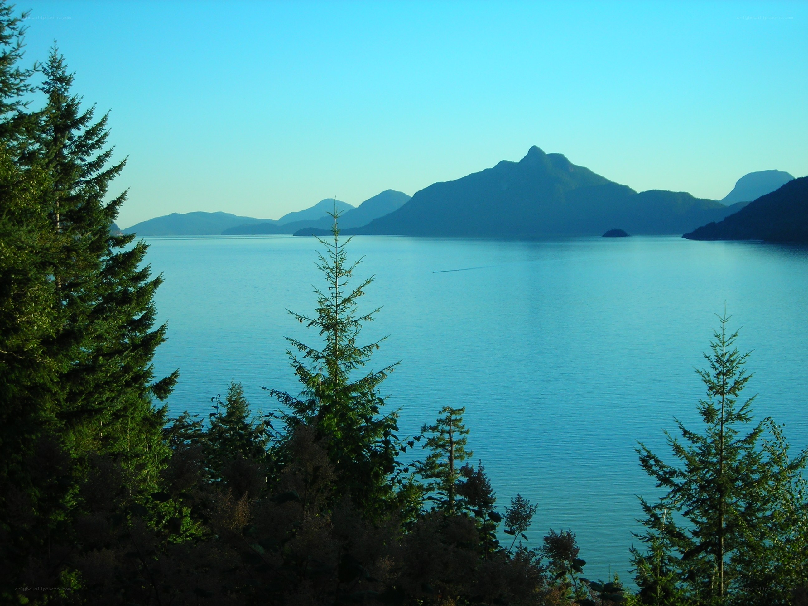 Mountain lake with evergreen trees