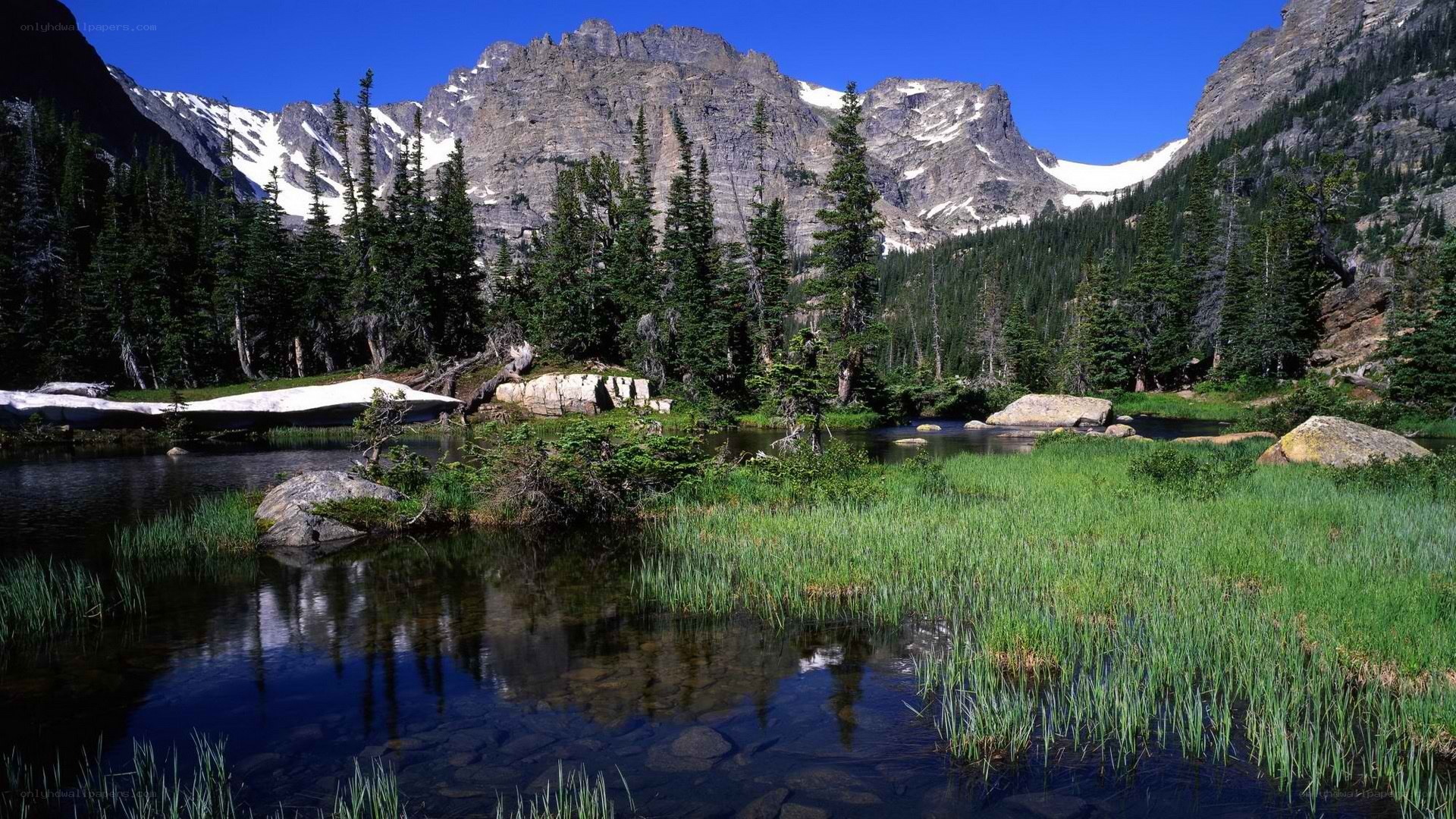 mountain lake with evergreen trees