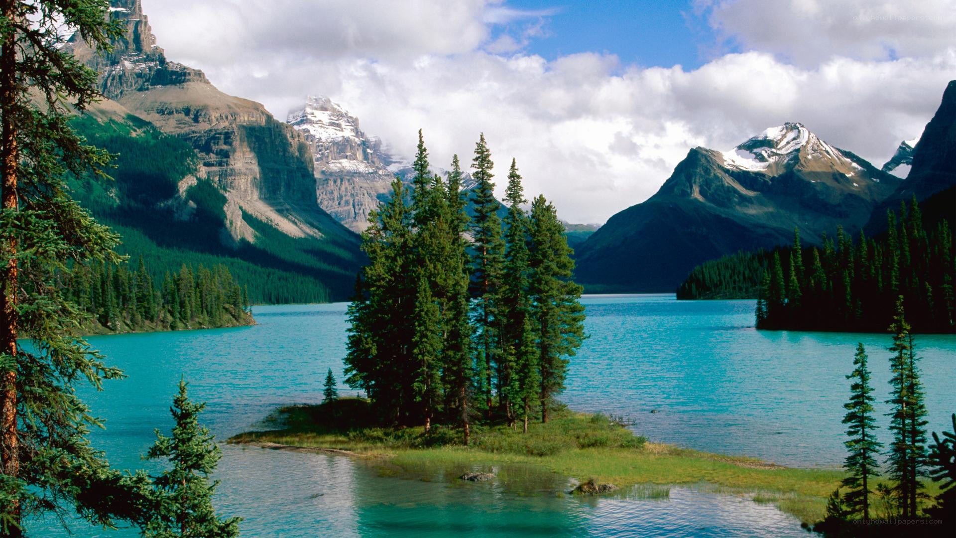 Mountain lake with evergreen trees