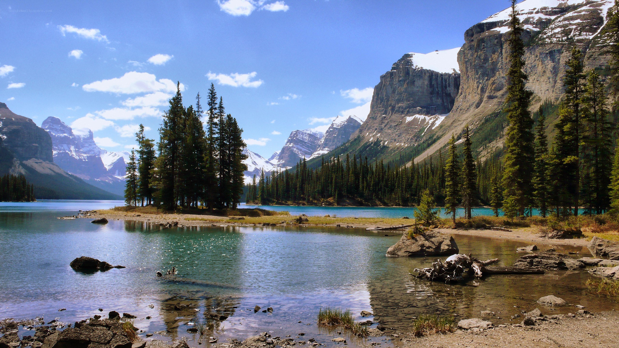 Mountain lake with evergreen trees