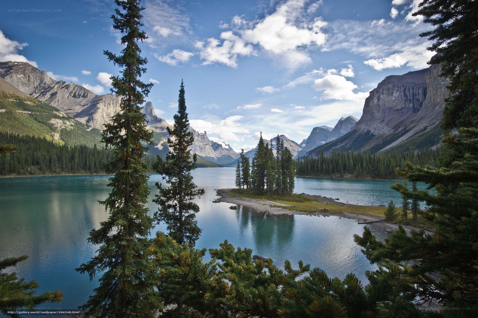 Mountain lake with evergreen trees