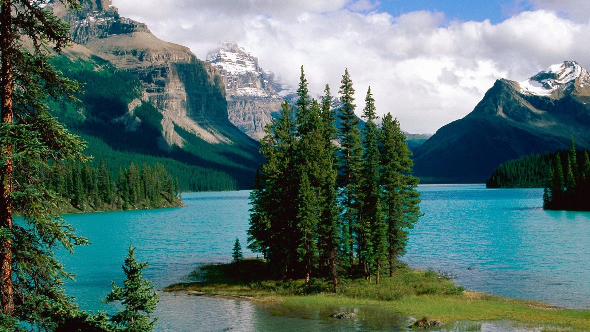 Mountain lake with evergreen trees
