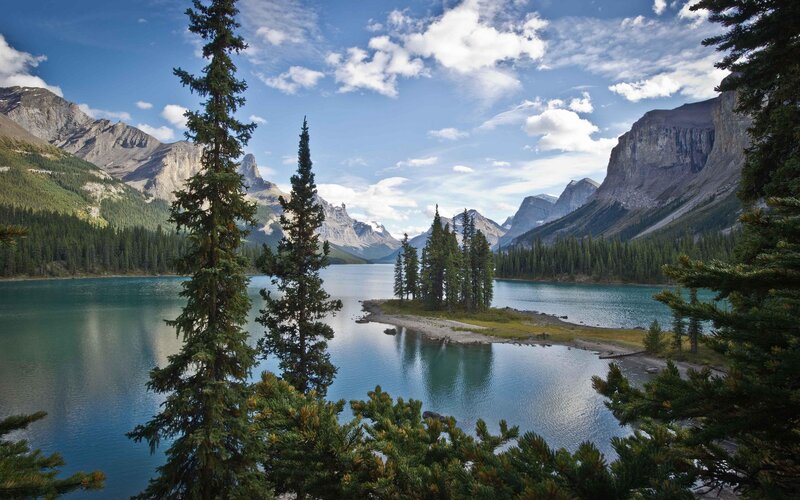 Mountain lake with evergreen trees
