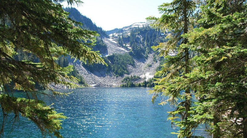 Mountain lake with evergreen trees
