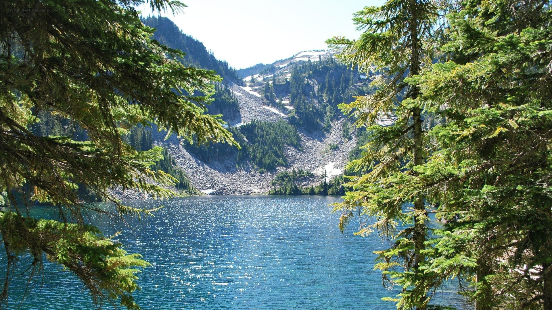 Mountain lake with evergreen trees