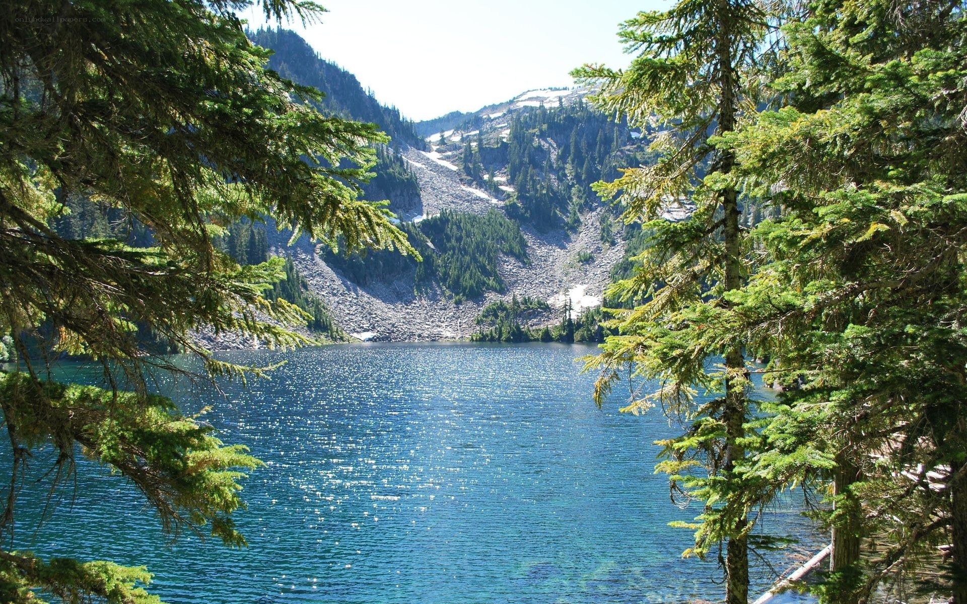 Mountain lake with evergreen trees