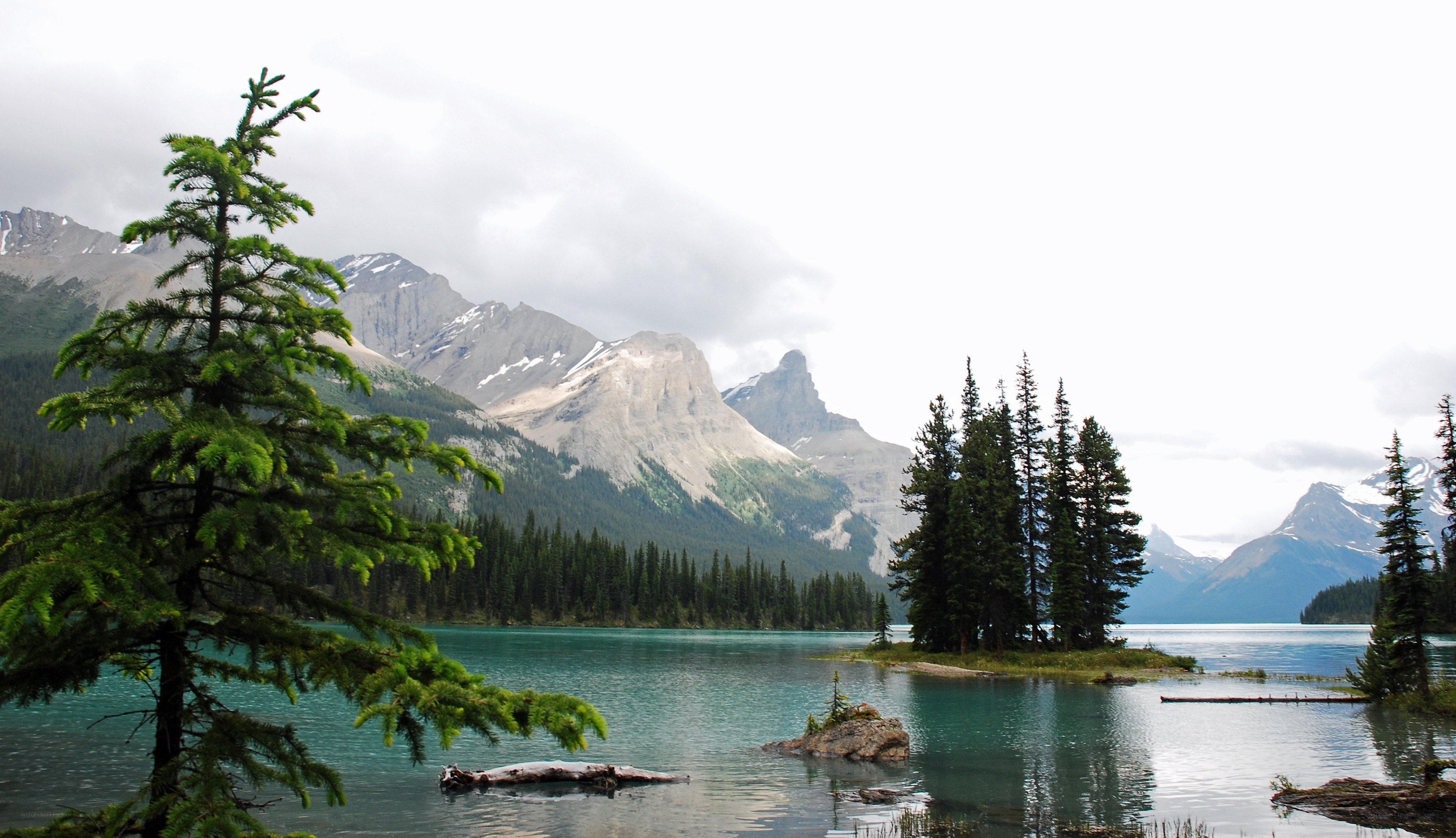 Mountain lake with evergreen trees