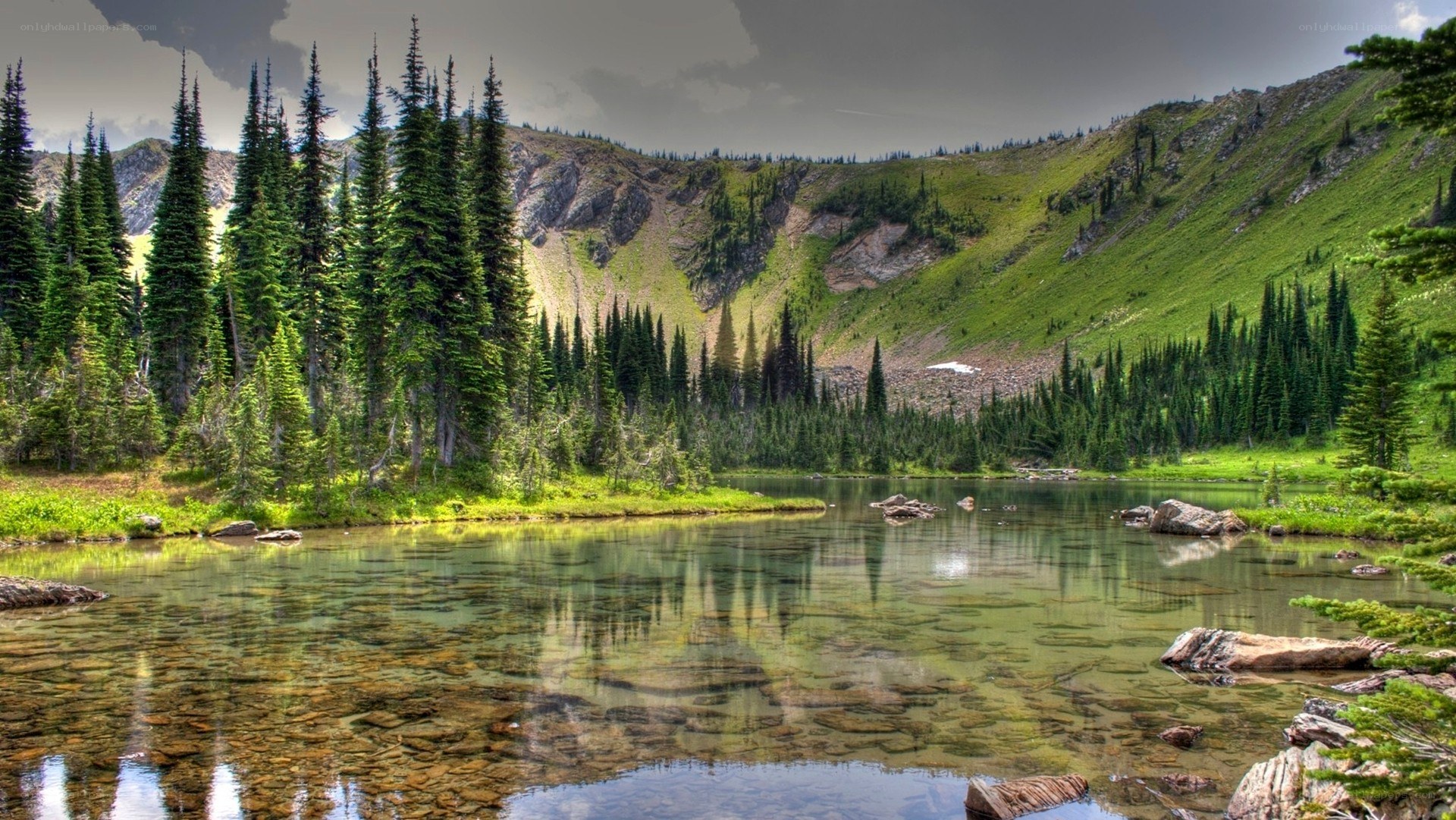 Mountain lake with evergreen trees