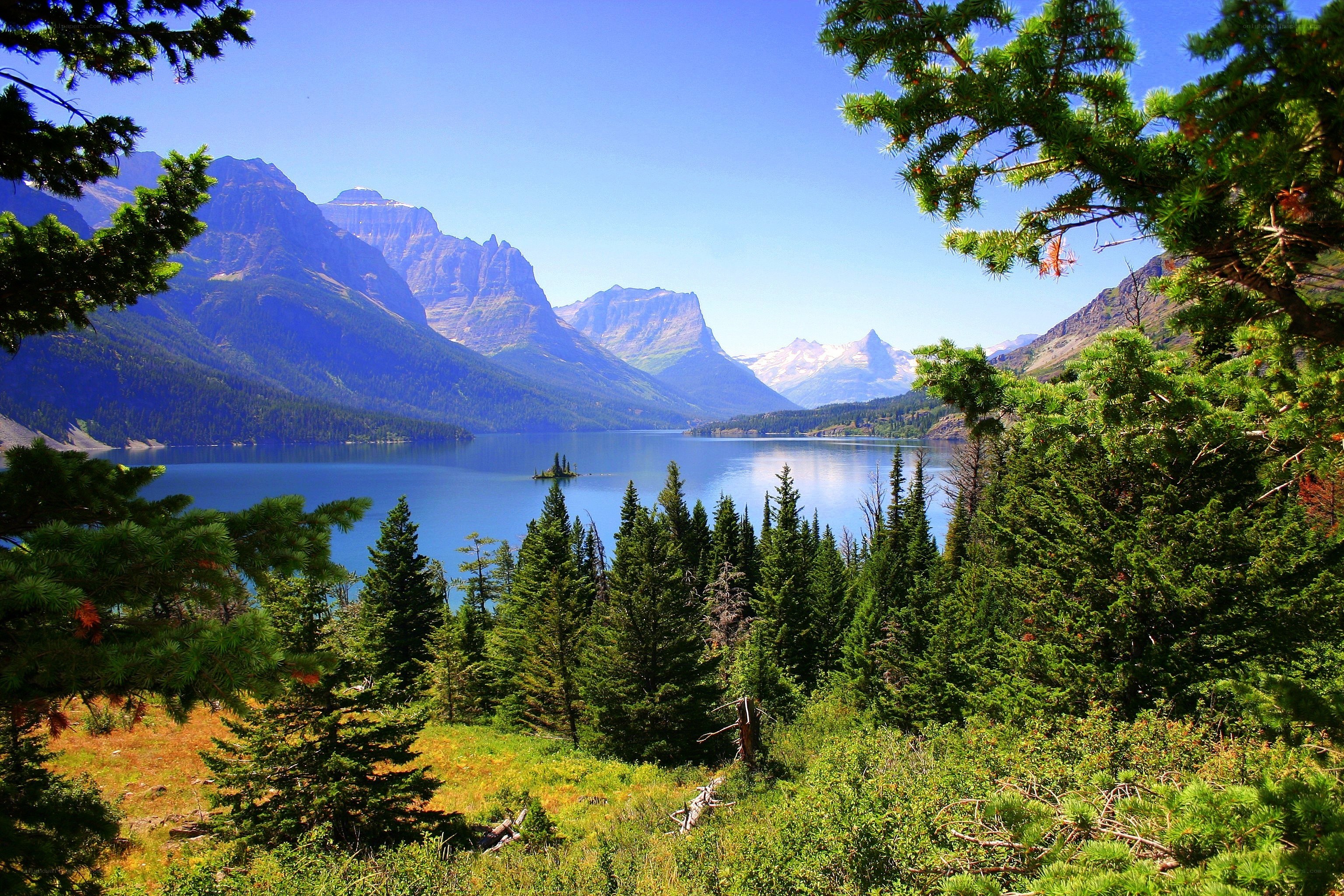 Mountain lake with evergreen trees