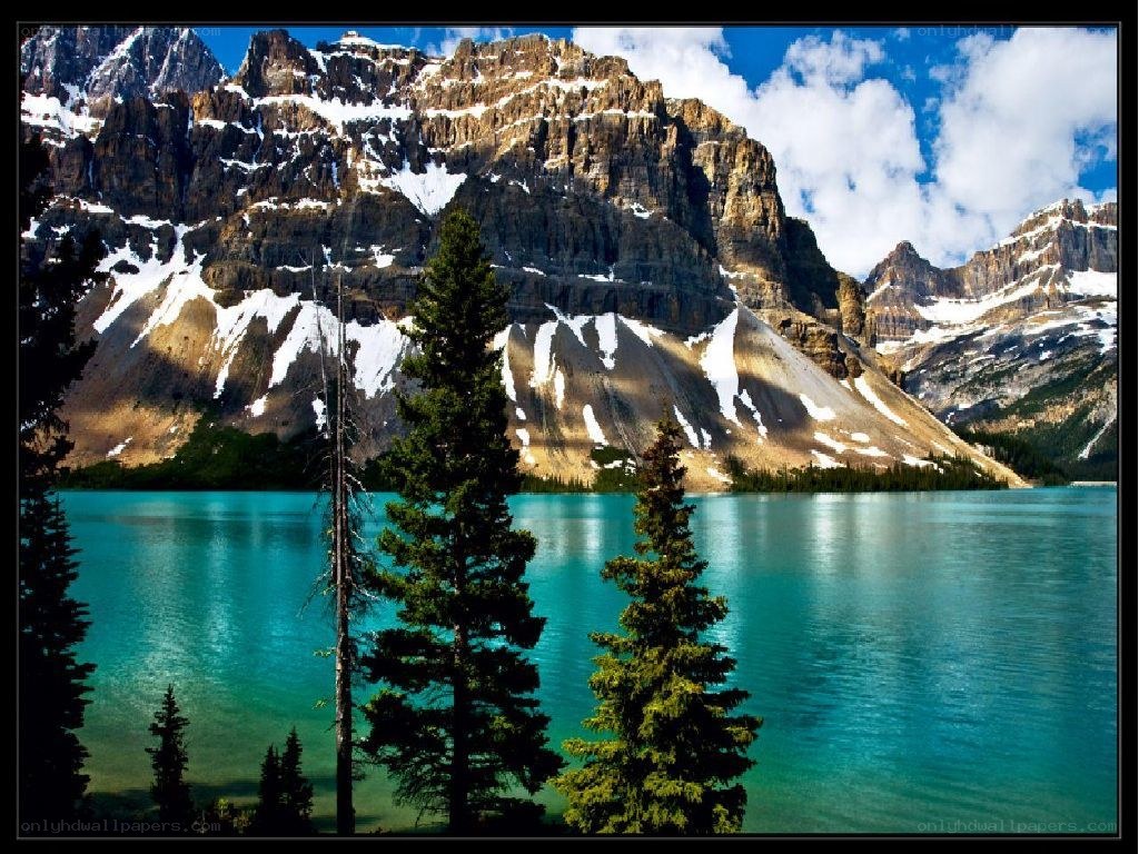 Mountain lake with evergreen trees