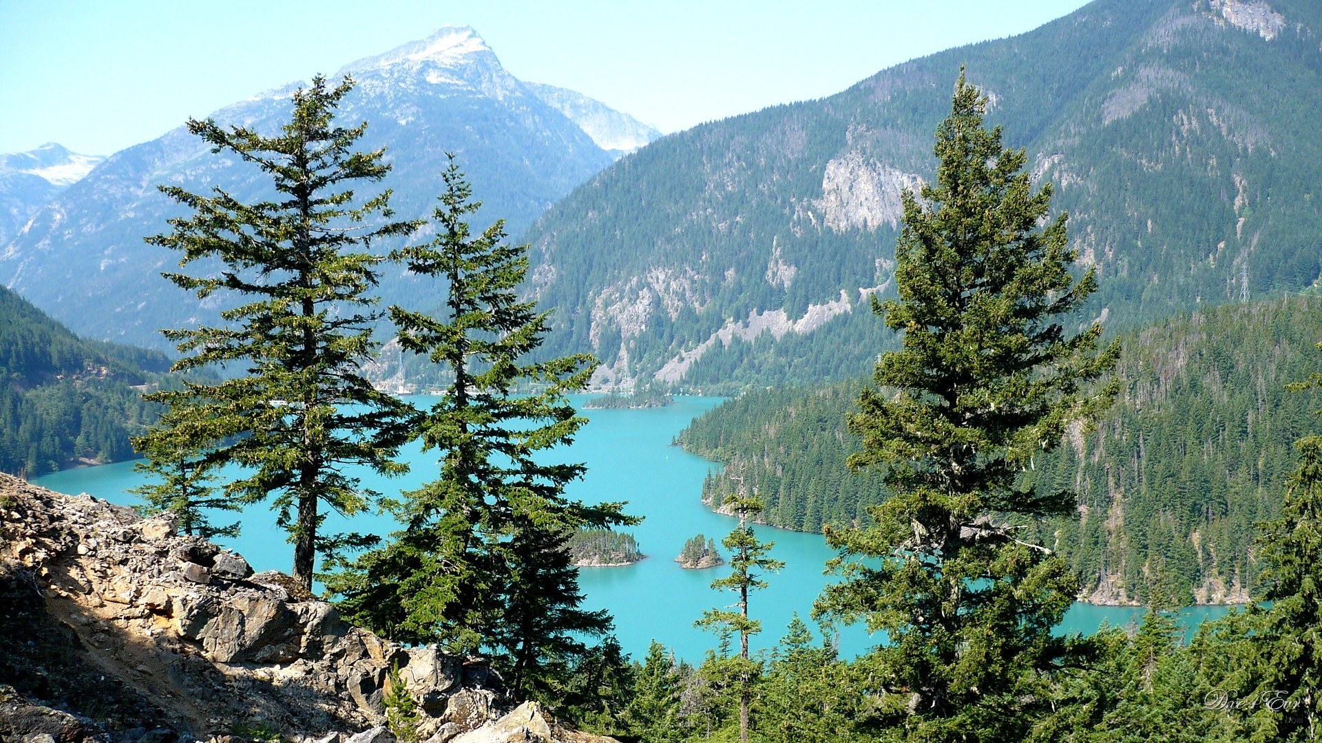 Mountain lake with evergreen trees