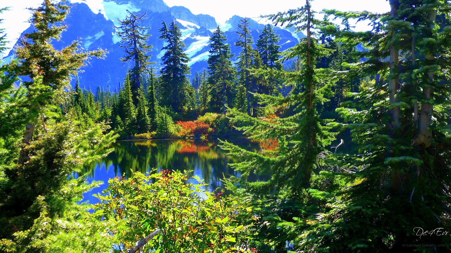 Mountain lake with evergreen trees