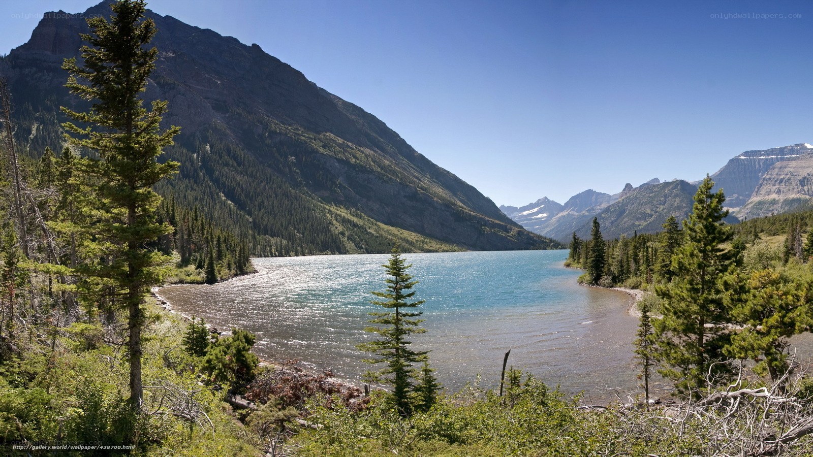 Mountain lake with evergreen trees