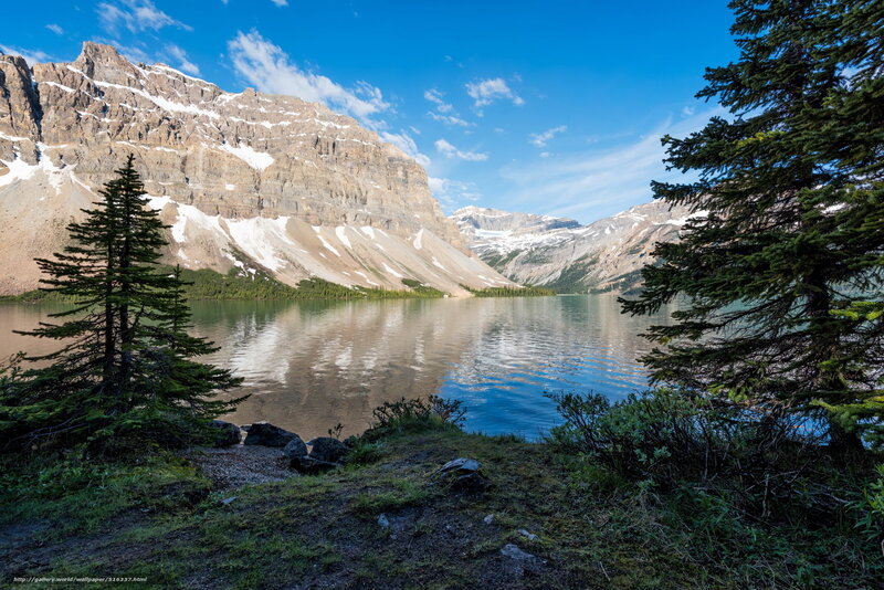 Mountain lake with evergreen trees
