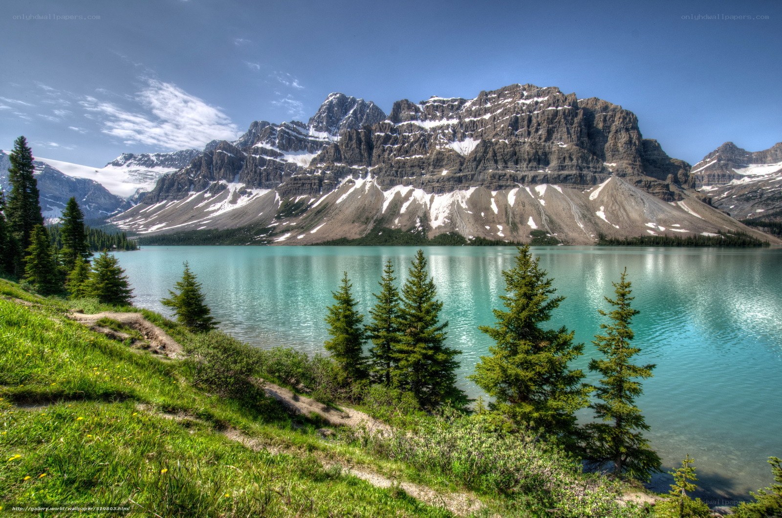 Mountain lake with evergreen trees