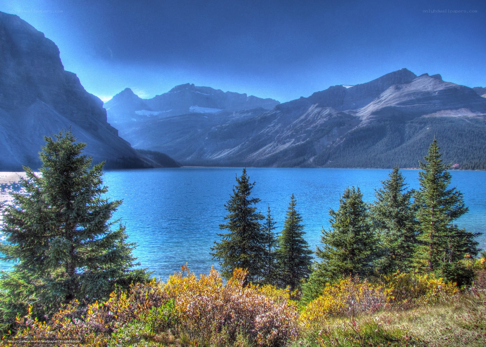 Mountain lake with evergreen trees
