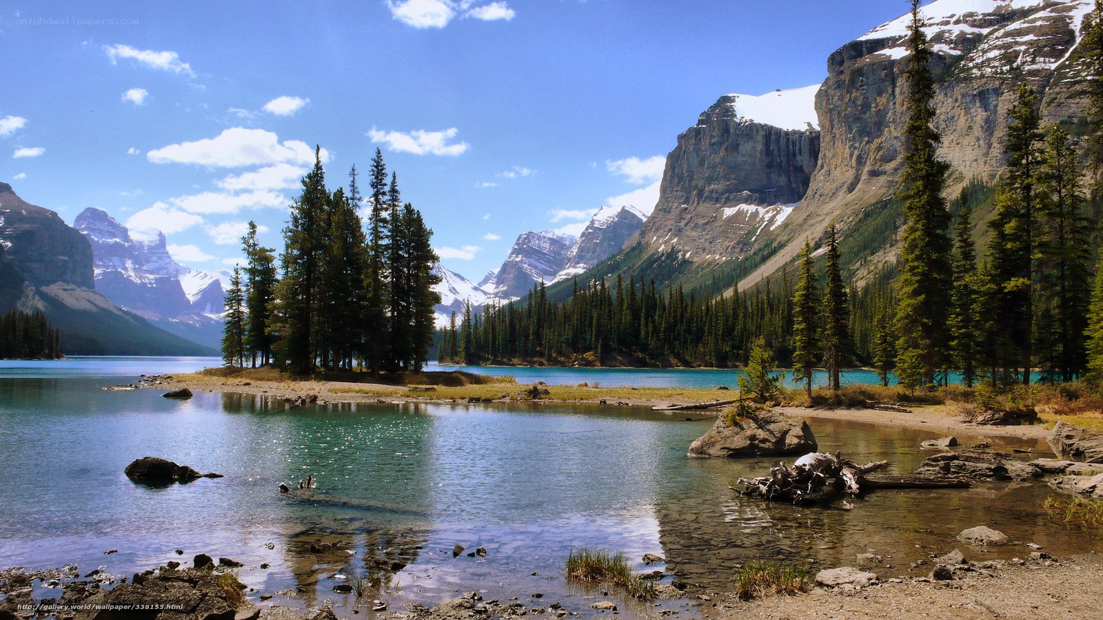 Mountain lake with evergreen trees
