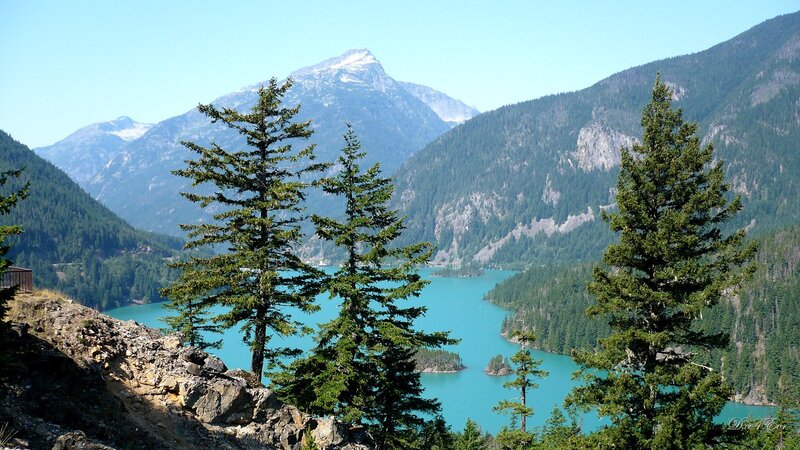 Mountain Lake with Evergreens — Blue