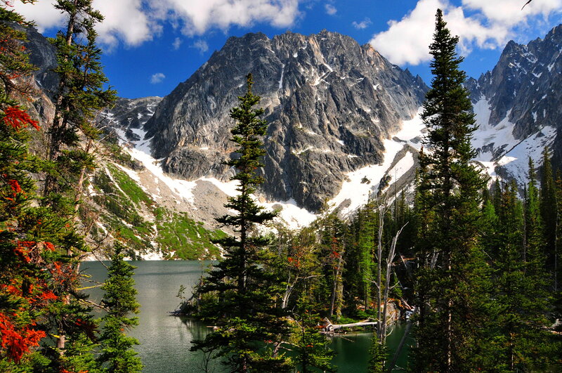 Mountain Lake with Evergreens — Green, Serene