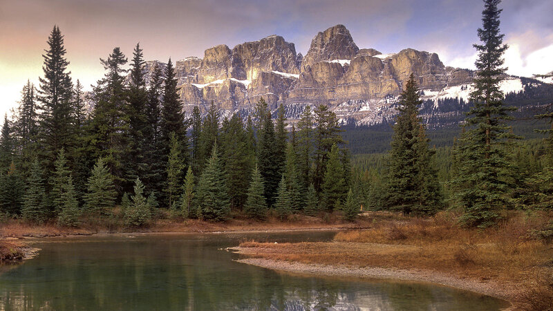 Mountain Lake with Evergreens — Green