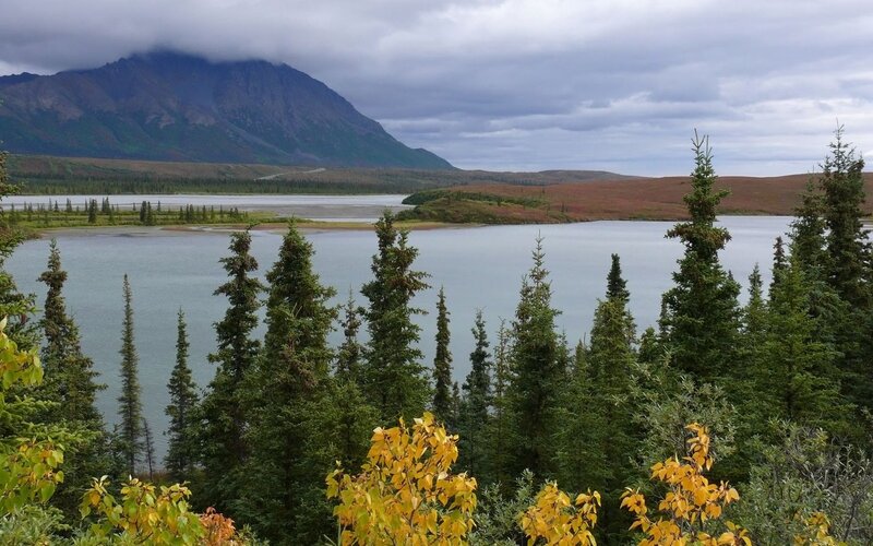 Mountain lake with evergreens