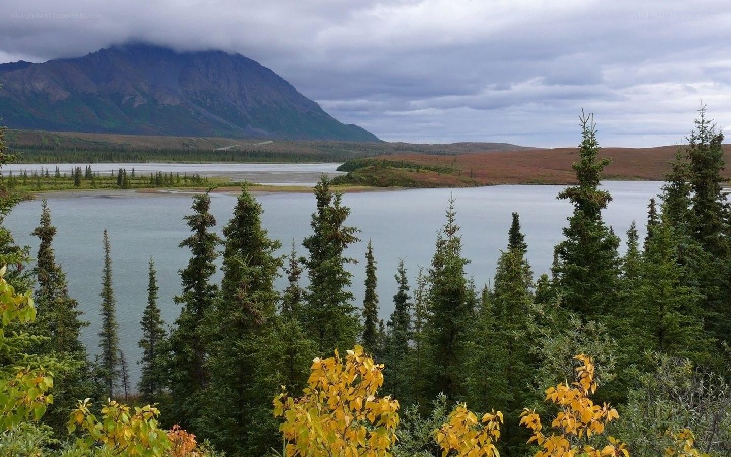 Mountain lake with evergreens