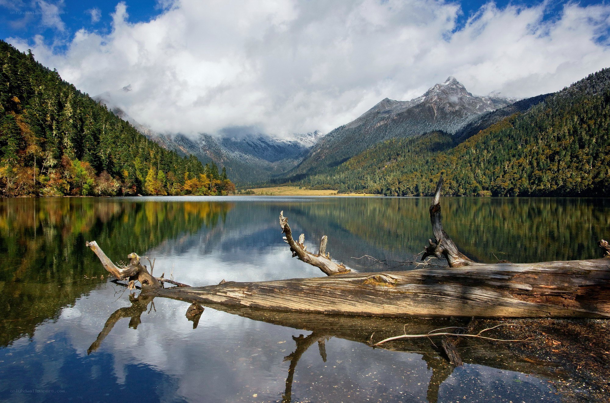 Mountain lake with fallen log