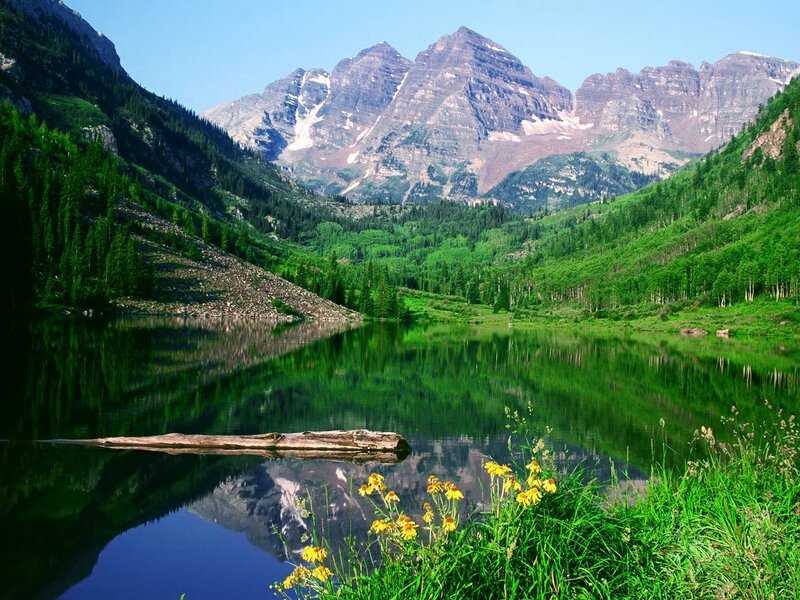 Mountain lake with flower foreground