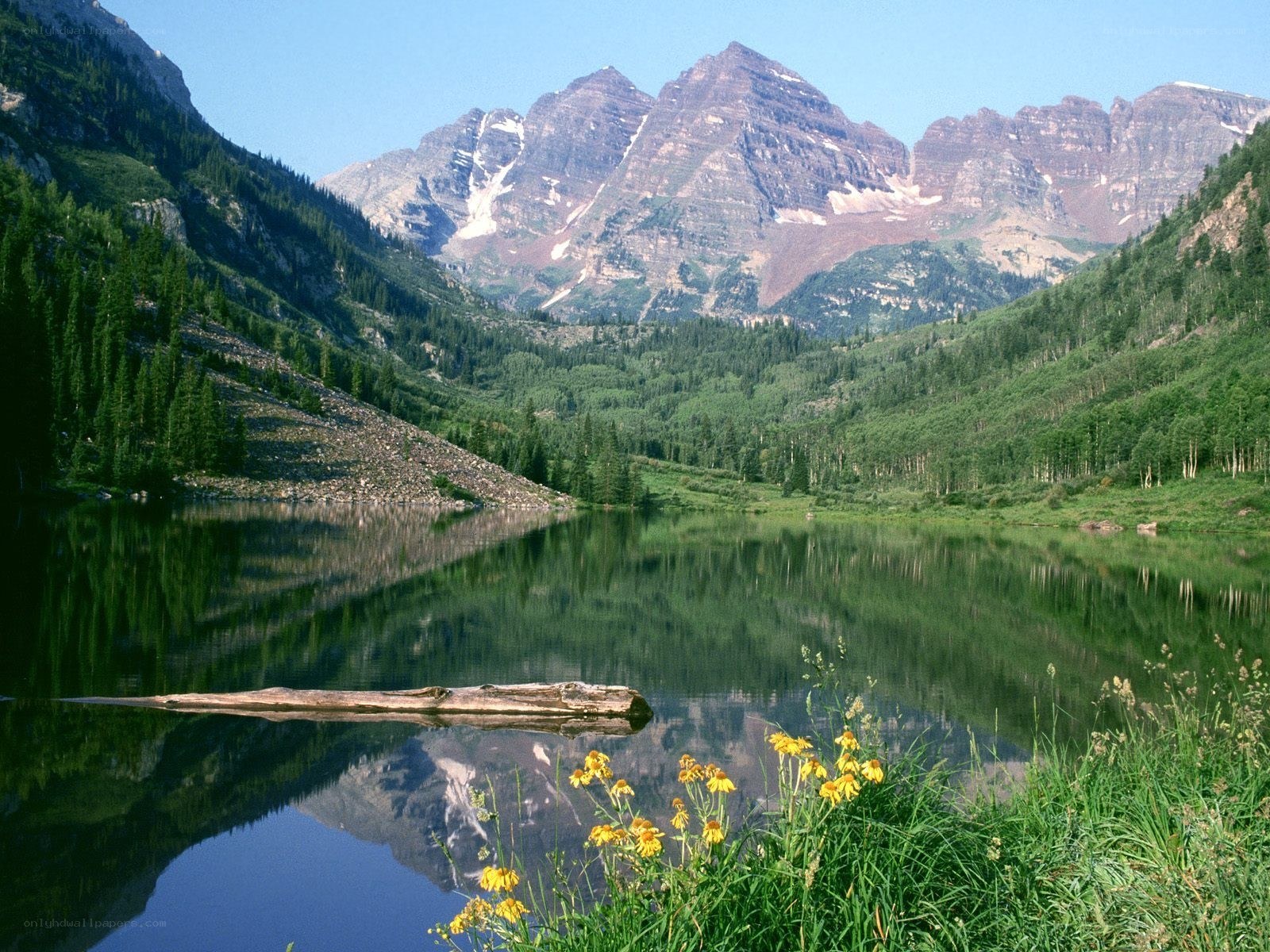 Mountain lake with flower foreground