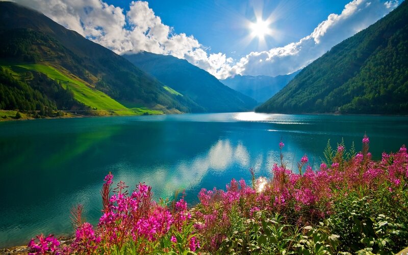 Mountain Lake with Flowers — Blue, Serene, Afternoon, Photograph, Mountains