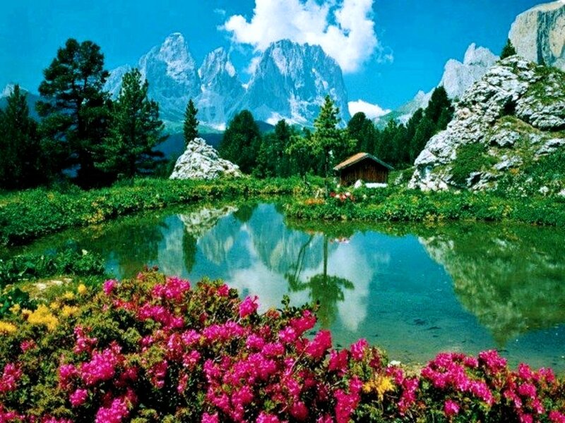 Mountain Lake with Flowers — Blue, Serene, Afternoon, Photograph