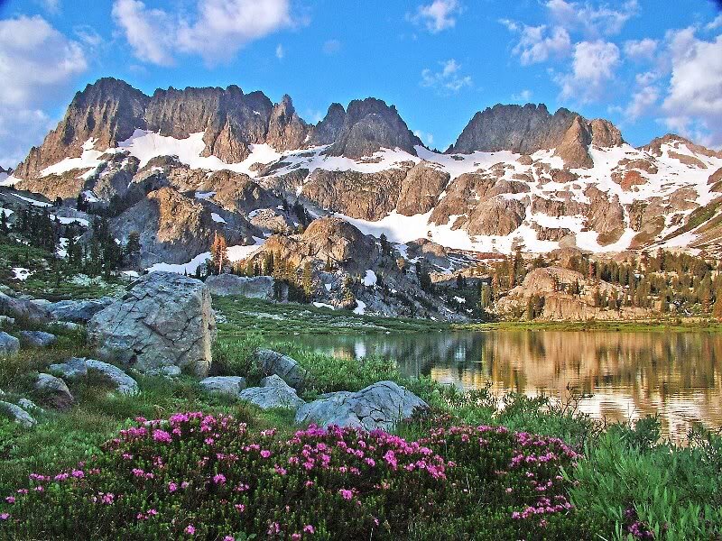 Mountain Lake with Flowers — Blue, Serene, Afternoon
