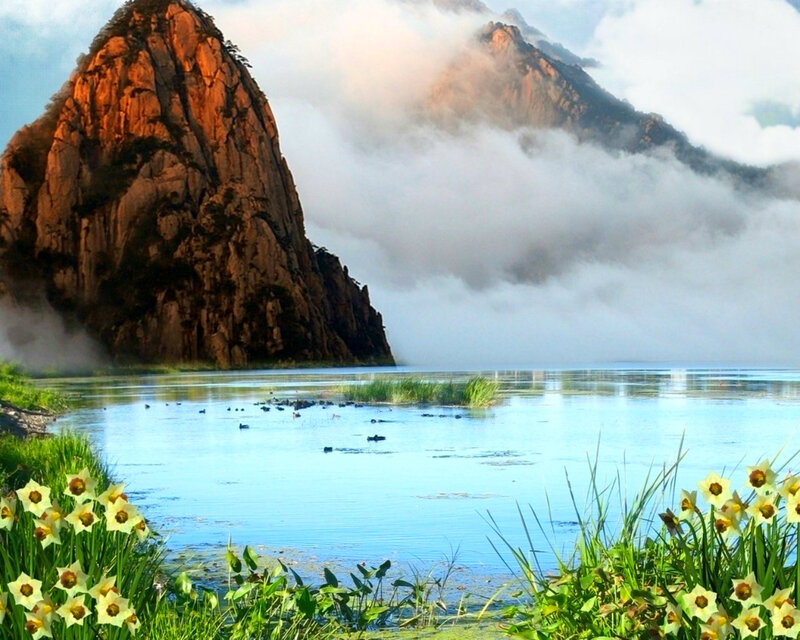 Mountain Lake with Flowers — Blue, Serene, Morning, Photograph