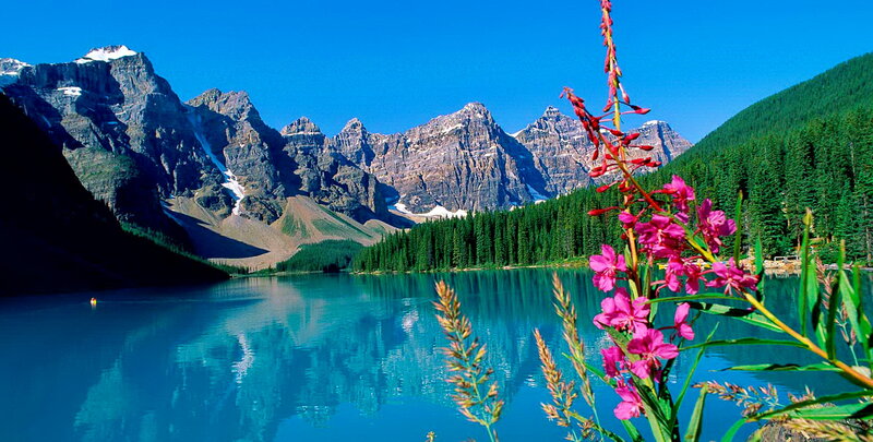 Mountain Lake with Flowers — Blue, Serene, Summer, Photograph, Mountains, Forest