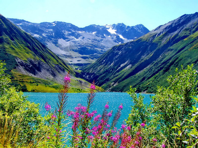 Mountain Lake with Flowers — Blue, Serene, Summer, Photograph, Mountains, Greenery