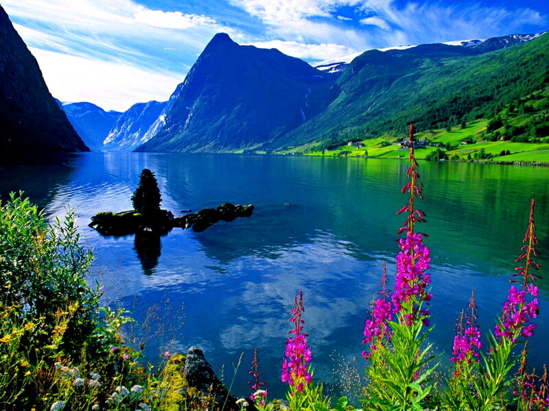 Mountain Lake with Flowers — Blue, Serene, Summer, Photograph, Mountains