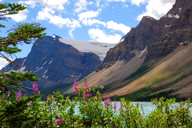 Mountain Lake with Flowers — Blue, Serene, Summer, Photograph, Mountains, Trees