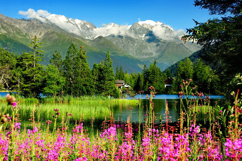 Mountain Lake with Flowers — Blue, Serene, Summer, Photograph, Trees, Mountains