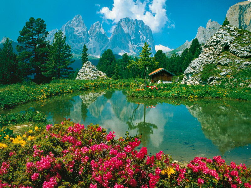 Mountain Lake with Flowers — Blue, Serene, Summer, Photograph, Trees