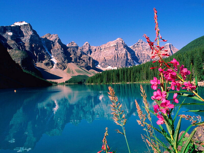 Mountain Lake with Flowers — Blue, Serene, Summer