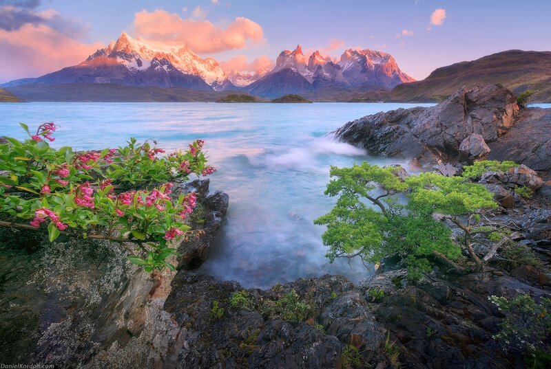 Mountain Lake with Flowers — Blue, Serene, Sunset