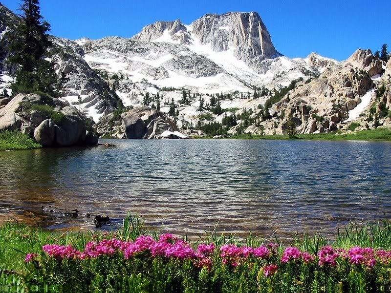 Mountain Lake with Flowers — Blue, Serene